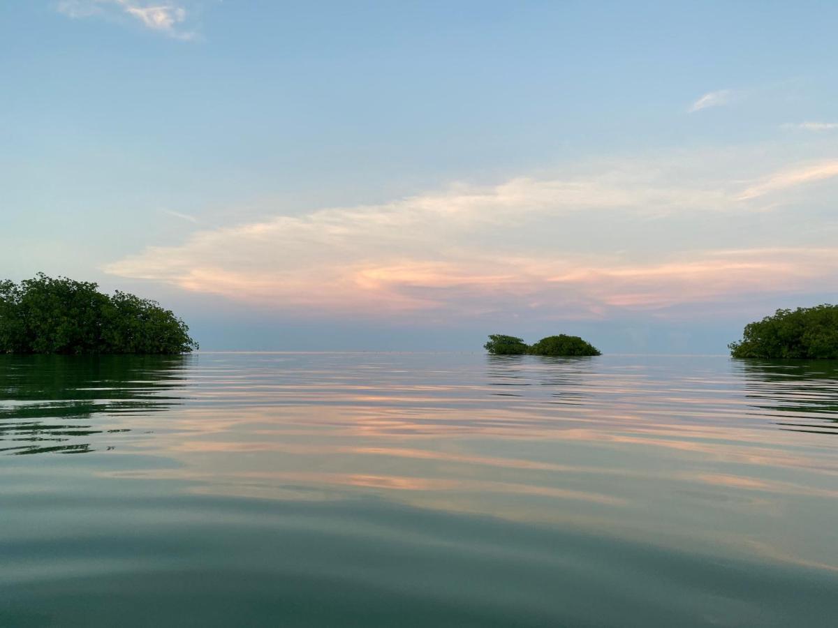 Shaka Caye All Inclusive Resort ベリーズシティ エクステリア 写真